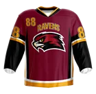 custom sublimated jersey / ice hockey jersey