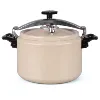 Fashion stainless steel pressure cooker 20l