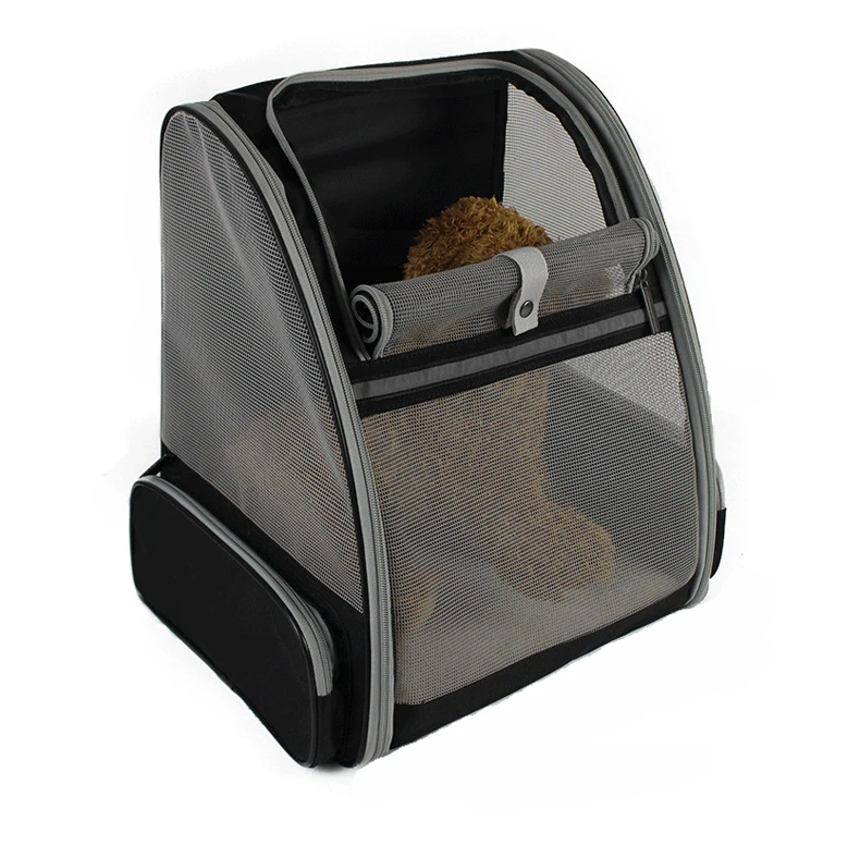 Go out portable pet backpack breathable cat backpack expandable mesh bag dog backpack
Go out portable pet backpack breathable cat backpack expandable mesh bag dog backpack