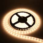 Hot Selling Low power 12V SMD5050 5m/roll led strip light tape light