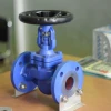 /product-detail/din-standard-bellows-seal-globe-valve-with-pn25-60451381166.html