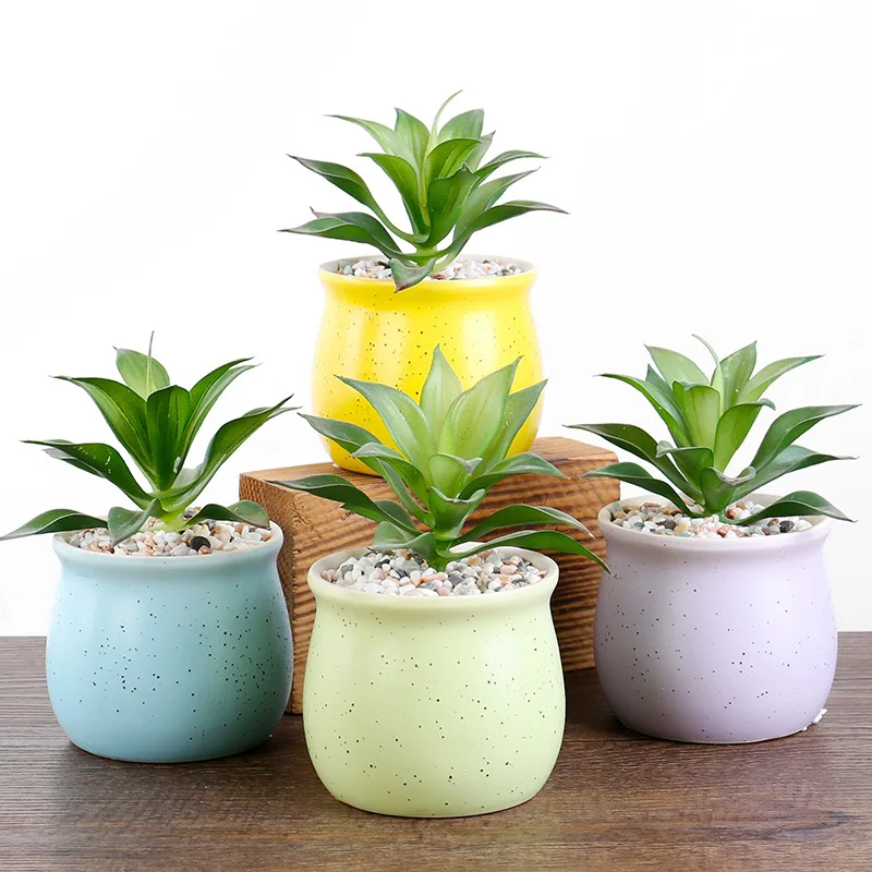 Promotion 3.5 Inch Succulent Pots 6 PCS/Set, Colorful Plant Pots Ceramic Pot for Succulents, Cactus and Herbs, Multi
Promotion 3.5 Inch Succulent Pots 6 PCS/Set, Colorful Plant Pots Ceramic Pot for Succulents, Cactus and Herbs, Multi