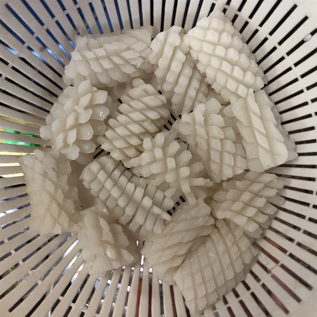 squid flower 1.jpg