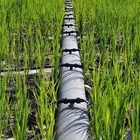 Guarantee 50 Years 2 Inch Polyethylene Pipe for Agricultural Irrigation