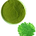 Gmp Factory Supply Moringa Oleifera Extract/moringa Oleifera Leaf Powder