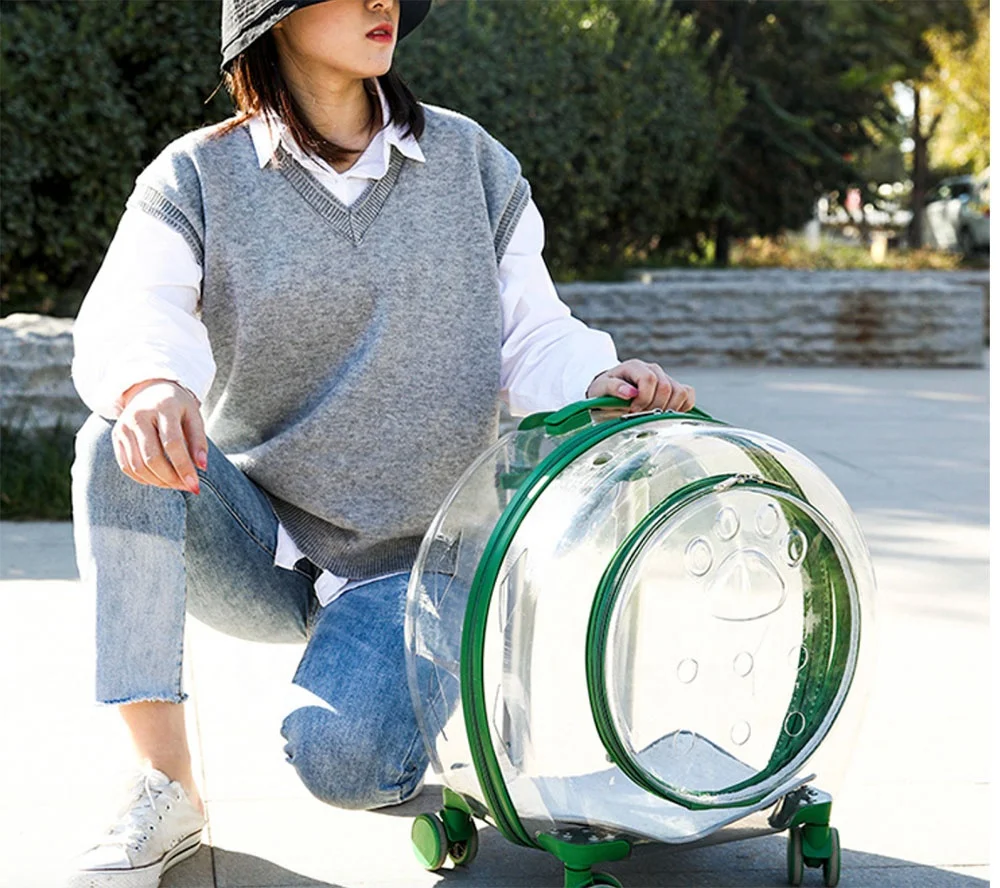 amazon hot selling Large capacity transparent portable pull rod bubble box outdoor travel space cage plastic dog carriers
amazon hot selling Large capacity transparent portable pull rod bubble box outdoor travel space cage plastic dog carriers
