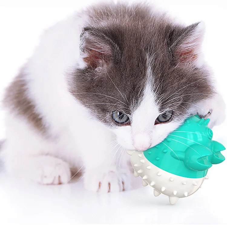 Tap To Interact Pet Cleaning Toothbrush Interesting Vibration Electric Cat Toy Pet Electric Vibrating Toothbrush Toy, Yellow,green,blue
Tap To Interact Pet Cleaning Toothbrush Interesting Vibration Electric Cat Toy Pet Electric Vibrating Toothbrush Toy, Yellow,green,blue