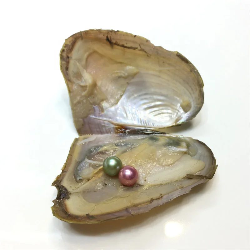 36colors Rainbow6-7mm mixed 2grains colors round freshwater pearls in 1 oyster shell with vacuum-package Fancy Gifts DIY Jewelry
36colors Rainbow6-7mm mixed 2grains colors round freshwater pearls in 1 oyster shell with vacuum-package Fancy Gifts DIY Jewelry