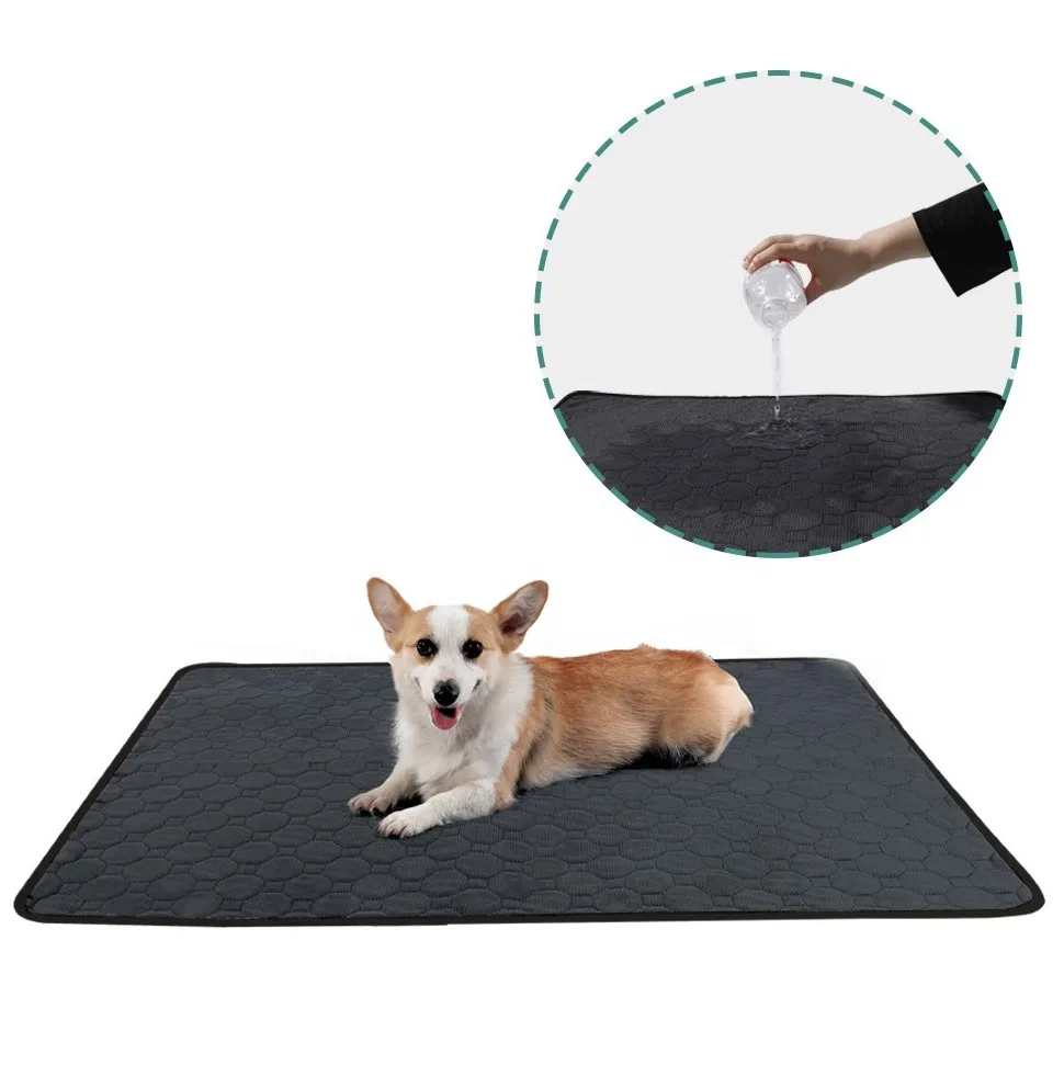 Non-slip Waterproof Puppy Urine Diaper Reusable Washable Dog Pee Pad, Dark grey
Non-slip Waterproof Puppy Urine Diaper Reusable Washable Dog Pee Pad, Dark grey