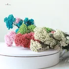 Factory dried Preserved Everlasting eternal rice flower