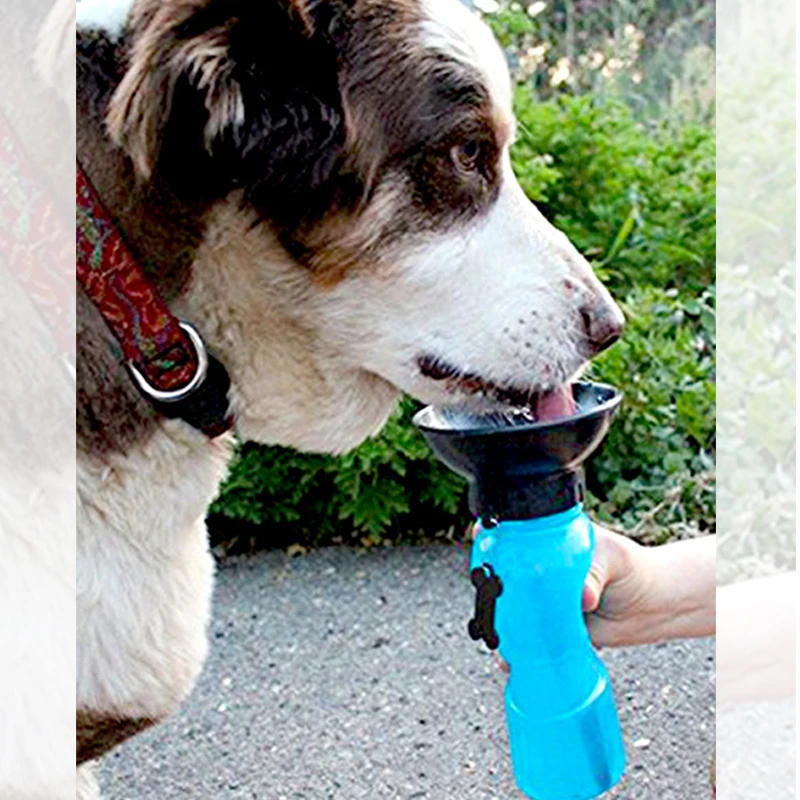 Dog Water Bottle Leak Proof Portable Travel Drink Cup with Bowl Dispenser for Pet Outdoor Walking Hiking Travelling
Dog Water Bottle Leak Proof Portable Travel Drink Cup with Bowl Dispenser for Pet Outdoor Walking Hiking Travelling