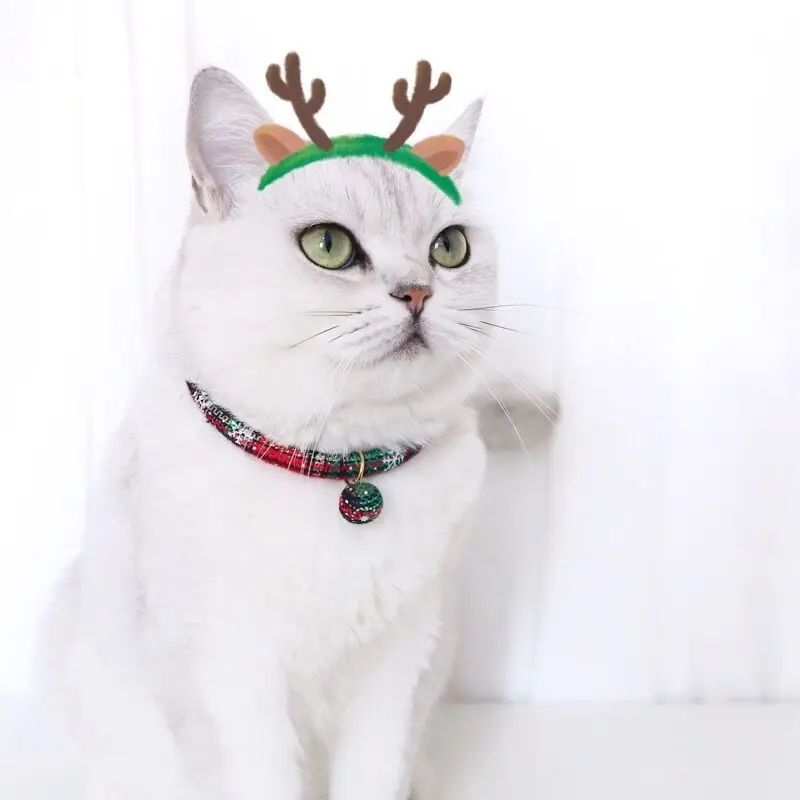 Advocator RTS/OEM Coleira Cachorro Christmas red green pattern customized cat dog collar with pendant, Customized color
Advocator RTS/OEM Coleira Cachorro Christmas red green pattern customized cat dog collar with pendant, Customized color