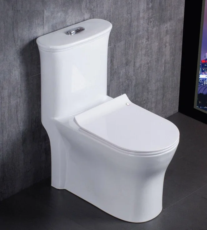 Tarpul Wholesale European Style One Piece Gravity Flushing Washdown Chinese Ceramic Floor Mounted WC Toilet supplier