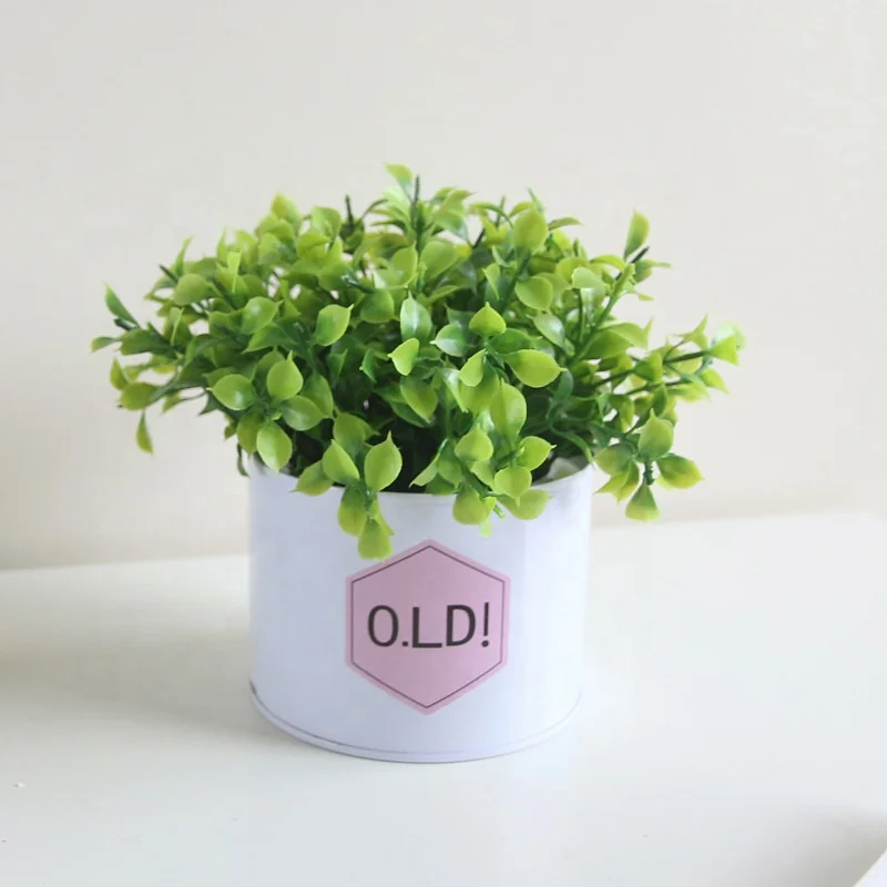Cheap New Style Top Quality Home Decorative green leaf potted artificial plant, As pictures
Cheap New Style Top Quality Home Decorative green leaf potted artificial plant, As pictures