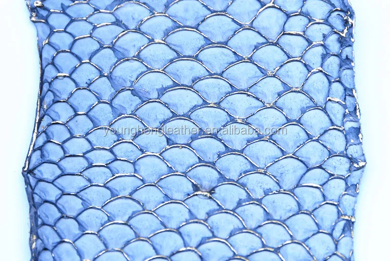 DSC_0381.JPG