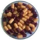 HALAL edible empty hard gelatin capsule