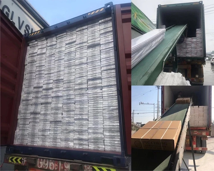 pvc ceiling pictures