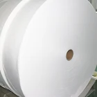 Nonwoven Fabric Nonwoven Nonwoven Fabric Material Fast Delivery Soft Textile Spunlace Nonwoven Fabric Material
