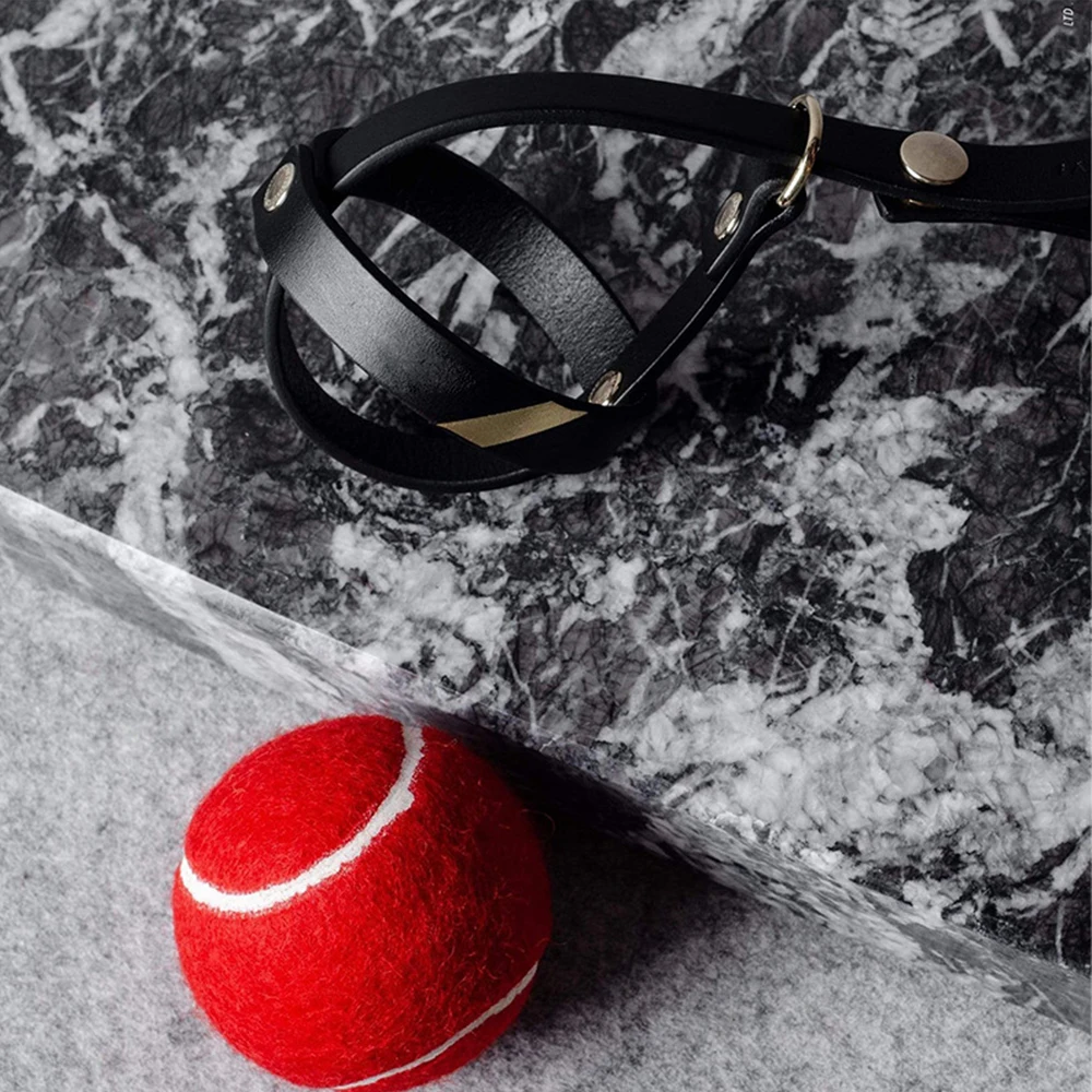 Pet leather fashion drawstring hand throwing ball New interactive toy for training dogs, As picture
Pet leather fashion drawstring hand throwing ball New interactive toy for training dogs, As picture
