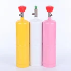 Manufacturer Supply Refrigerant Gas Mapp Gas