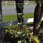 Rain Chains Aluminum Metal Lotus Garden Monarch Rain Chains