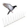 /product-detail/gkpc-63-metal-plastic-pigeon-spikes-bird-spike-60125403135.html