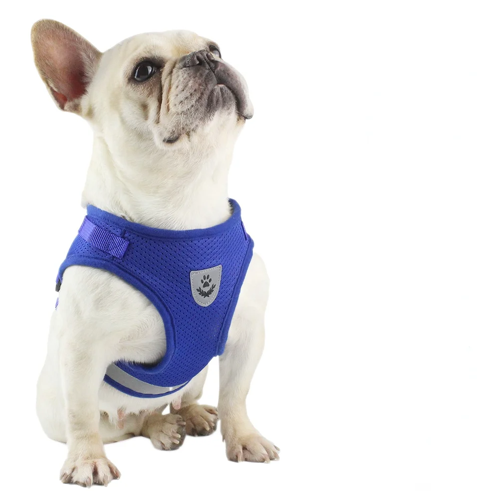 Wholesale Breathable Adjustable Vest Chest Reflective Product Designers Dog Harness With Leash
Wholesale Breathable Adjustable Vest Chest Reflective Product Designers Dog Harness With Leash