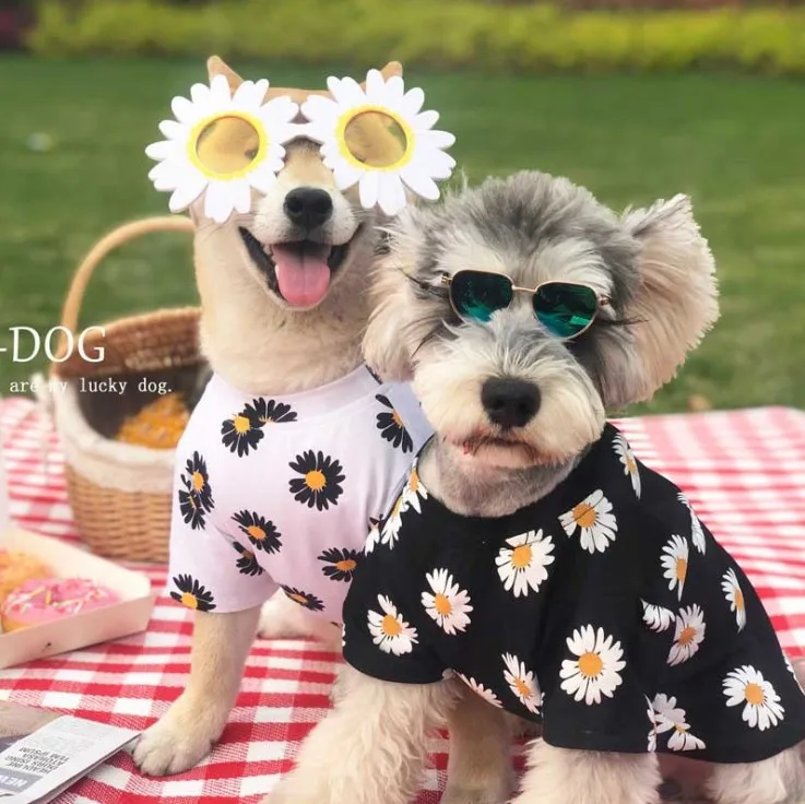Wholesale Fashion Cute Summer Apparel Small Pet Spring Summer Dog Clothes, White and black
Wholesale Fashion Cute Summer Apparel Small Pet Spring Summer Dog Clothes, White and black