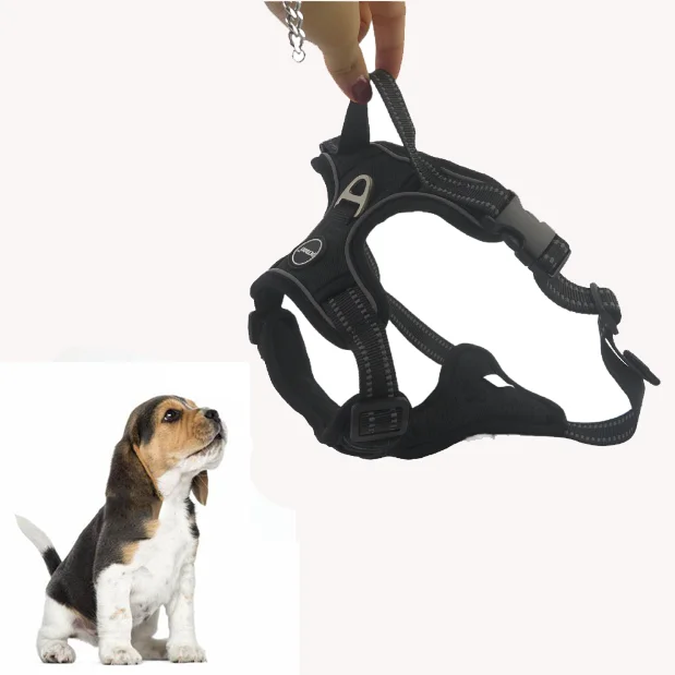 Amazon Adjustable Breathable Soft Air Mesh Durable No Pull Dog Vest Harness For Small And Medium-sized Dog, Black
Amazon Adjustable Breathable Soft Air Mesh Durable No Pull Dog Vest Harness For Small And Medium-sized Dog, Black