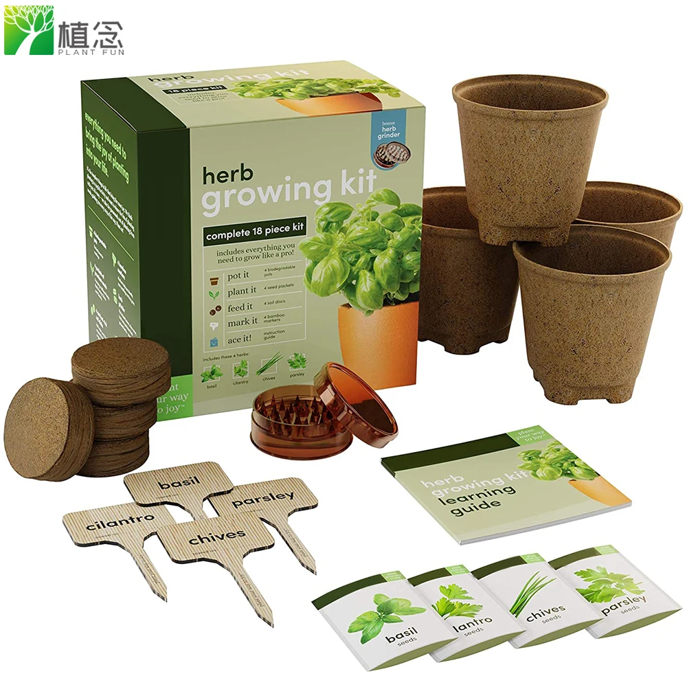 Hot sale non gmo herb plant DIY Easily Grow 4 Indoor Herb Seed kit