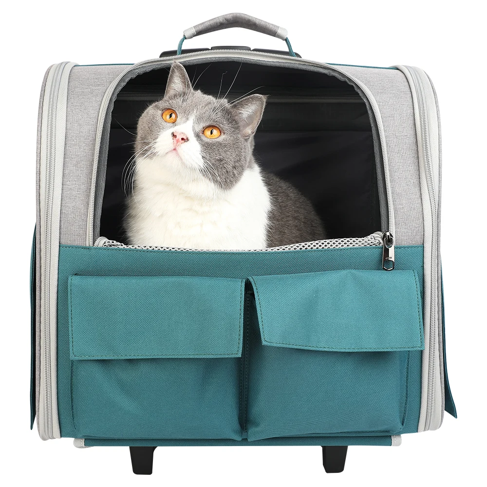Multi-pocket trolley case pet bag going-out carry pet bag large high-quality dog trolley case, Customized color
Multi-pocket trolley case pet bag going-out carry pet bag large high-quality dog trolley case, Customized color