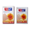 /product-detail/medical-painkiller-pain-relief-capsicum-plaster-skin-patch-60259092572.html