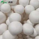 2020 Growing Fresh Edible Mushrooms with GAP certificate