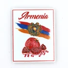 Popular New Design Printed Armenia pomegranate Fruit Resin Fridge Magnet Gift