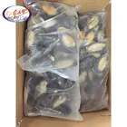 Factory direct the newest products iqf half shell mussel frozen boiled