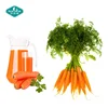 /product-detail/bulk-dried-carrot-juice-concentrate-powder-carrot-powder-62373350401.html