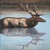 Hot Popular sale 100% hand painted Sika Deer Modern animal wall art canvas oil painting in China