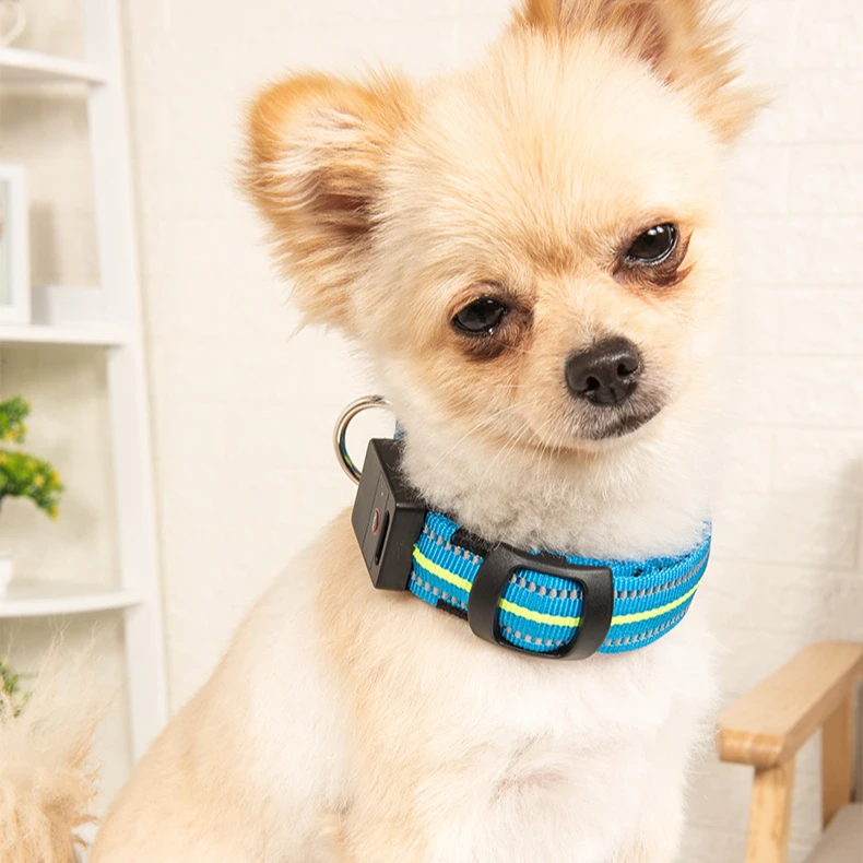 Wholesale Waterproof Magnetic Charging Accessory Pet Glowing Lights Electronics Dog collar
Wholesale Waterproof Magnetic Charging Accessory Pet Glowing Lights Electronics Dog collar