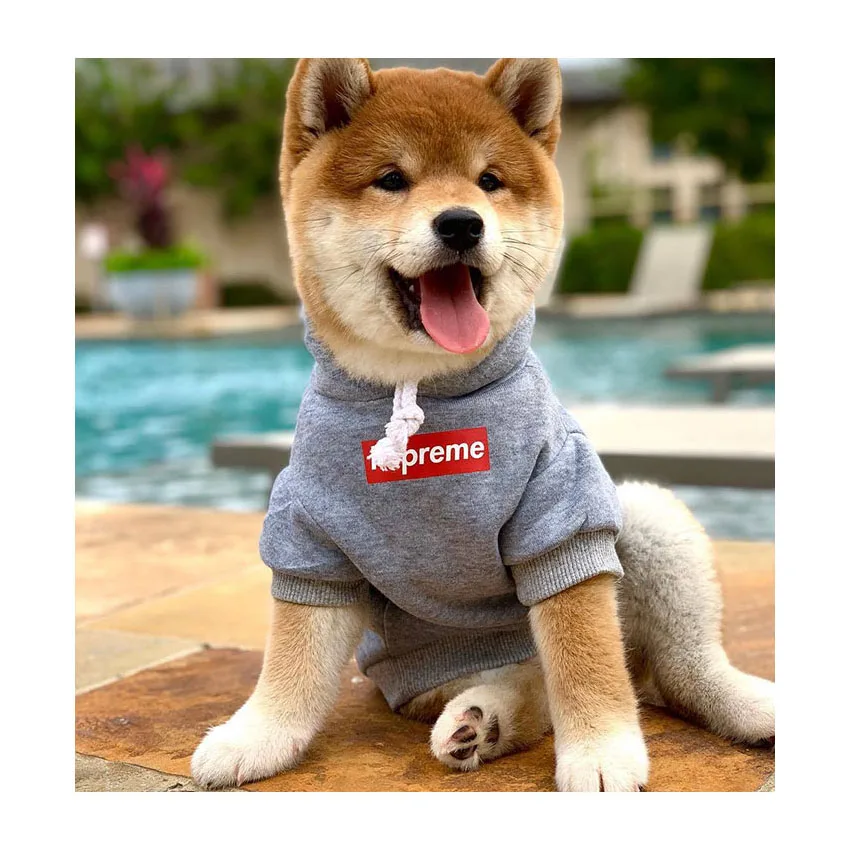 High-end luxury brand logo cotton stretch puppy pet clothes dog clothes hoodie
High-end luxury brand logo cotton stretch puppy pet clothes dog clothes hoodie
