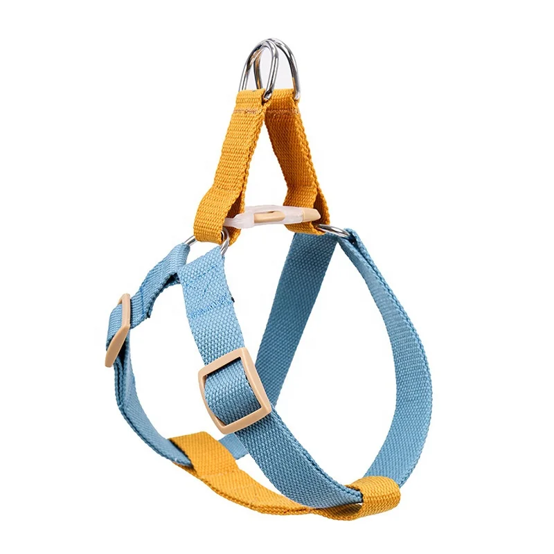 Colorful Vest-Style Chest Back Strap Dog Collars And Leash Pet Products Pet Collars For Sale
Colorful Vest-Style Chest Back Strap Dog Collars And Leash Pet Products Pet Collars For Sale