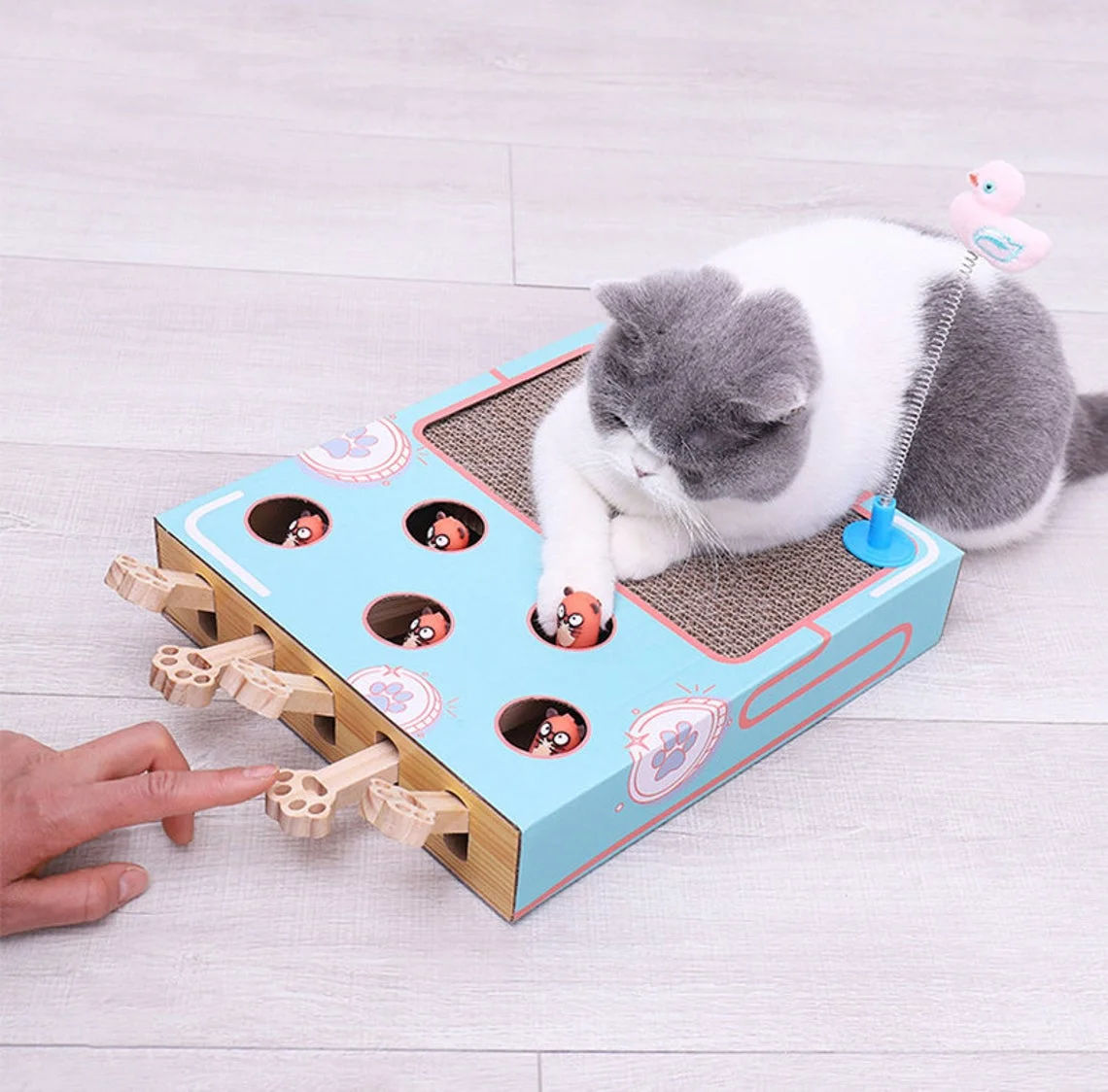 Hot Selling Durable Dropshipping Pet Cat Funny Toy Cat Scratcher Board Cat Mouse Toy, Blue/tan
Hot Selling Durable Dropshipping Pet Cat Funny Toy Cat Scratcher Board Cat Mouse Toy, Blue/tan