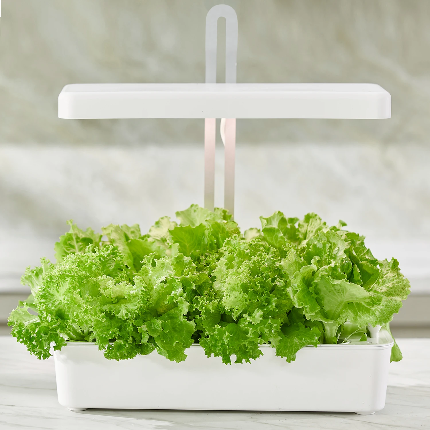 US FREE SHIPPING LED Indoor Garden indoor gardening kit hydroponics smart herb garden plant lighting
US FREE SHIPPING LED Indoor Garden indoor gardening kit hydroponics smart herb garden plant lighting