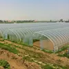 /product-detail/hot-sale-agriculture-farming-flowers-complete-greenhouse-grow-tent-62222599293.html