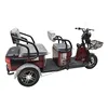 /product-detail/factory-sale-electric-tricycle-for-2-person-3-wheeler-electric-bike-three-wheel-electric-tricycle-62420931099.html