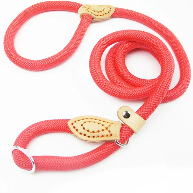 Chain Dog Leash Slip Collar pet Walking Leads Nylon Dog Mountain Climbing Rope puppy pet Traction For small Medium Large Dogs
Chain Dog Leash Slip Collar pet Walking Leads Nylon Dog Mountain Climbing Rope puppy pet Traction For small Medium Large Dogs