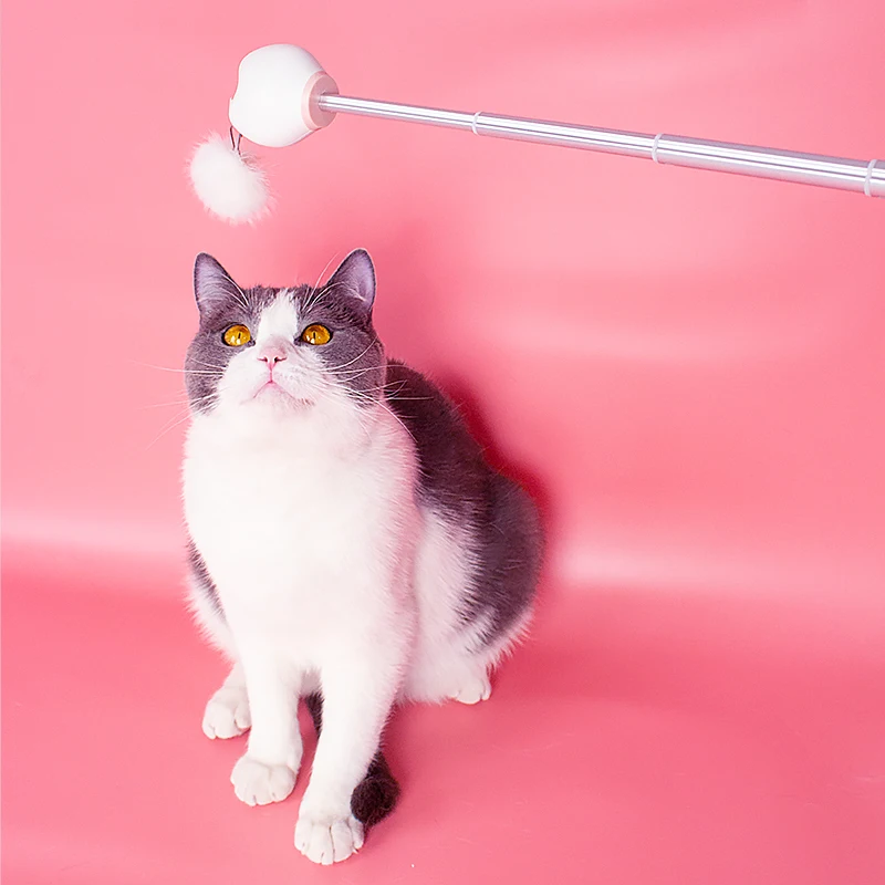 Portable multi-laser 3 in 1 cat laser toy funny laser pen toys for cats, Pink/blue/green
Portable multi-laser 3 in 1 cat laser toy funny laser pen toys for cats, Pink/blue/green