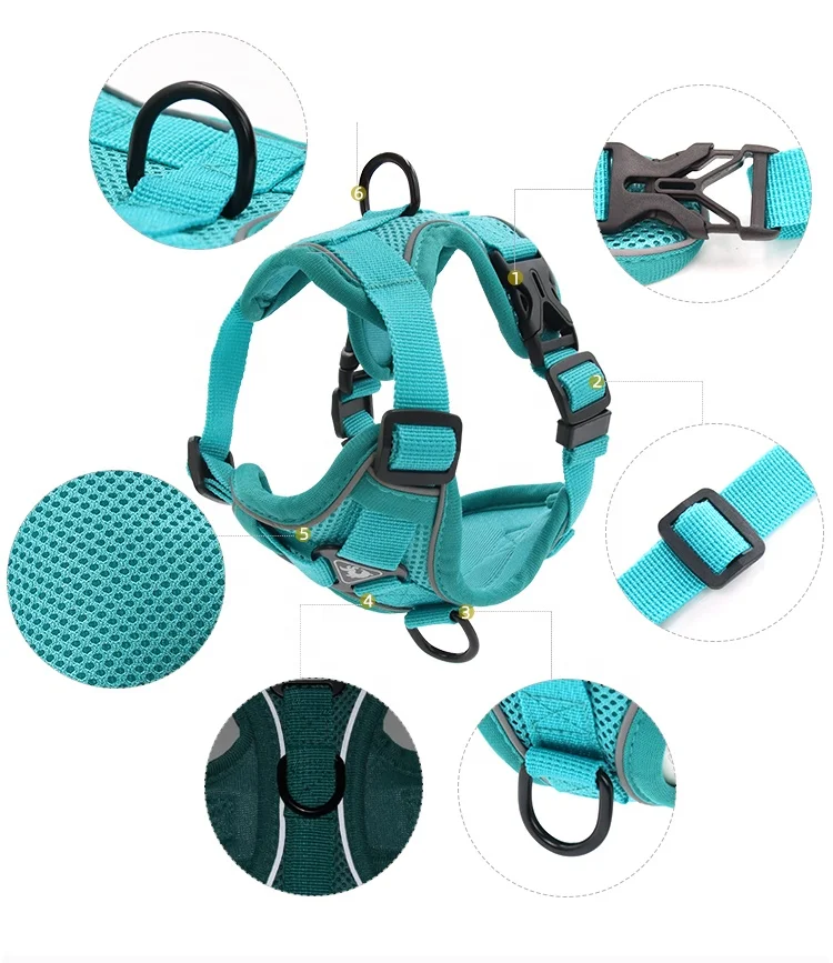 Wholesale multicolor polyester mesh reflective pet cat and dog traction safety belt harness pet chest belt, 6 colors
Wholesale multicolor polyester mesh reflective pet cat and dog traction safety belt harness pet chest belt, 6 colors