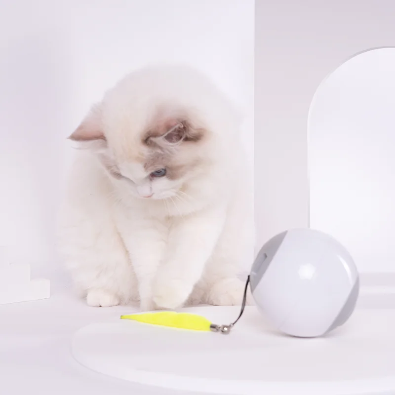 Wholesales Pet Eco-friendly Cat Electric Cat Toy Funny Pet Training Tool Cat Leaking Food Ball Toy, White / yellow
Wholesales Pet Eco-friendly Cat Electric Cat Toy Funny Pet Training Tool Cat Leaking Food Ball Toy, White / yellow
