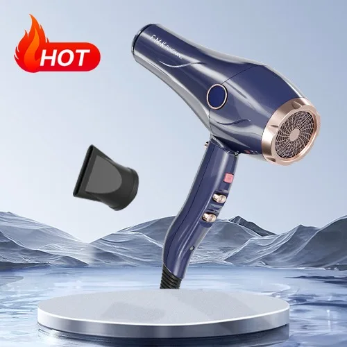 New product Wholesale high speed DC Motor Salon Equipment Ion Professional Hairdryer New Blow Hair Dryer ion