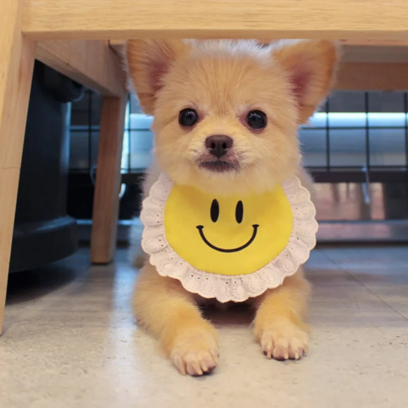 Fashion Plaid Scarf Smiley Scarf Cotton Pet Dog Saliva Towel Scarf Collar Accessories
Fashion Plaid Scarf Smiley Scarf Cotton Pet Dog Saliva Towel Scarf Collar Accessories